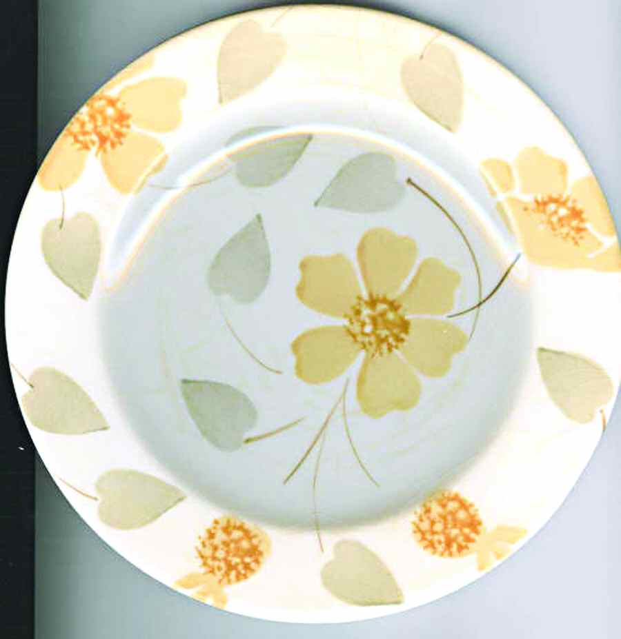 Asian Blossom Dinner Plate by Pier 1-1