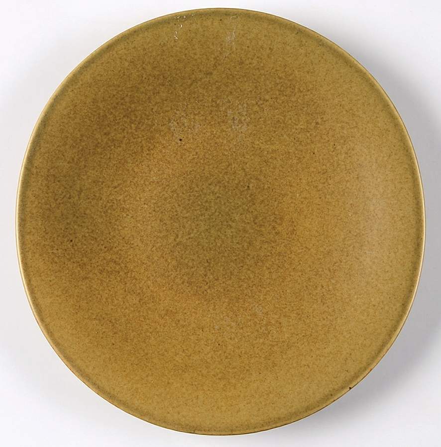 Ellipse Sage (Yellow Green) Salad Plate by Pottery Barn China-1