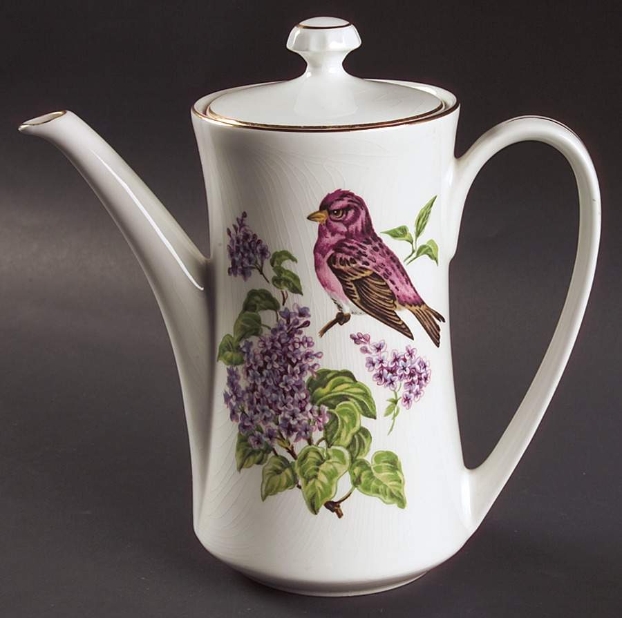 PNT19 Coffee Pot & Lid by Pontesa-1