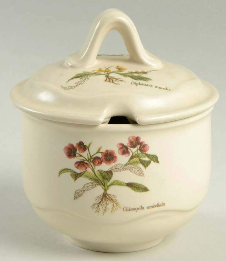 Country Lane Sugar Bowl & Lid by Poole Pottery-1