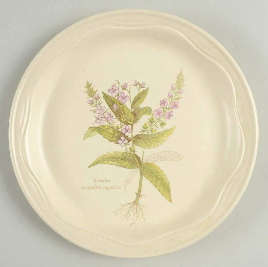 Country Lane Salad Plate by Poole Pottery-1