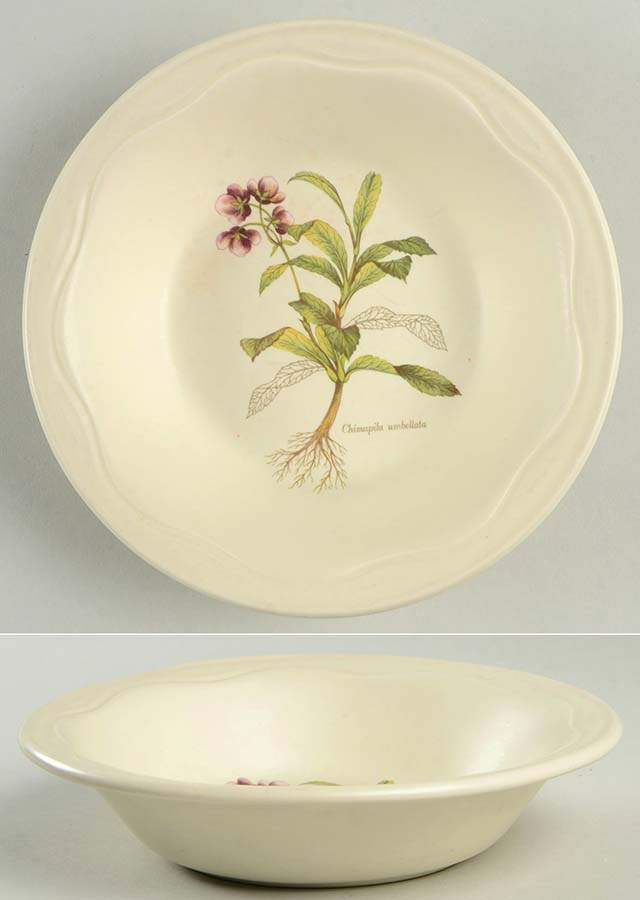 Country Lane Soup/Cereal Bowl by Poole Pottery-1