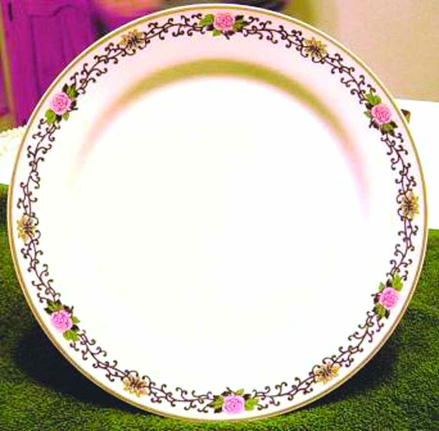 PLI15 Dinner Plate by Porcelaine de Limoges-1