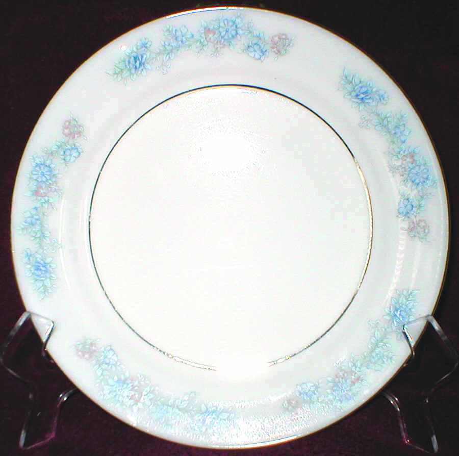 PIV1 Dinner Plate by Picvue-1