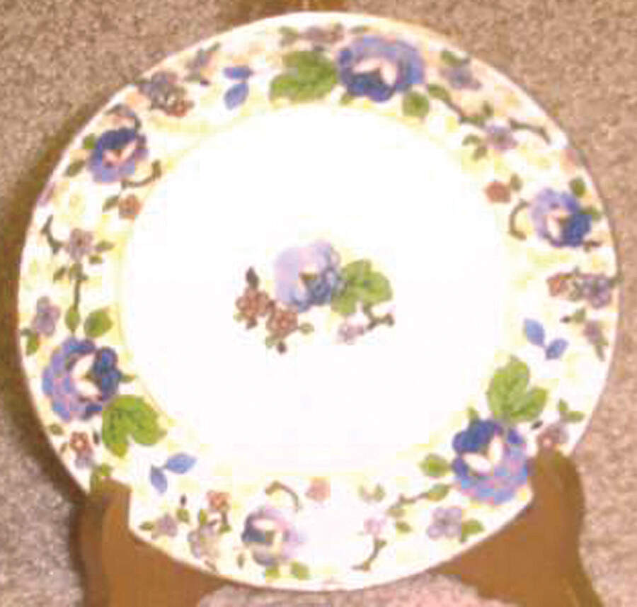 PAR125 Dinner Plate by Paragon-1