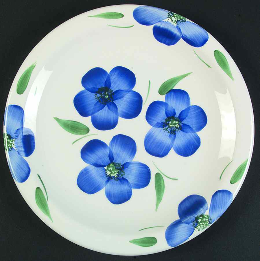 PER62 Dinner Plate by Pier 1-1