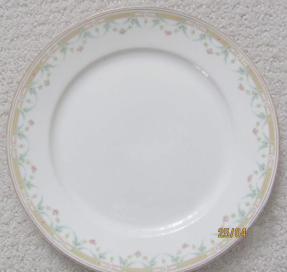 POP237 Dinner Plate by Pope Gosser-1