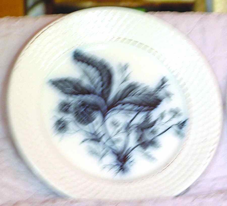 Fruit Salad Plate by Petrus Regout & Co-1