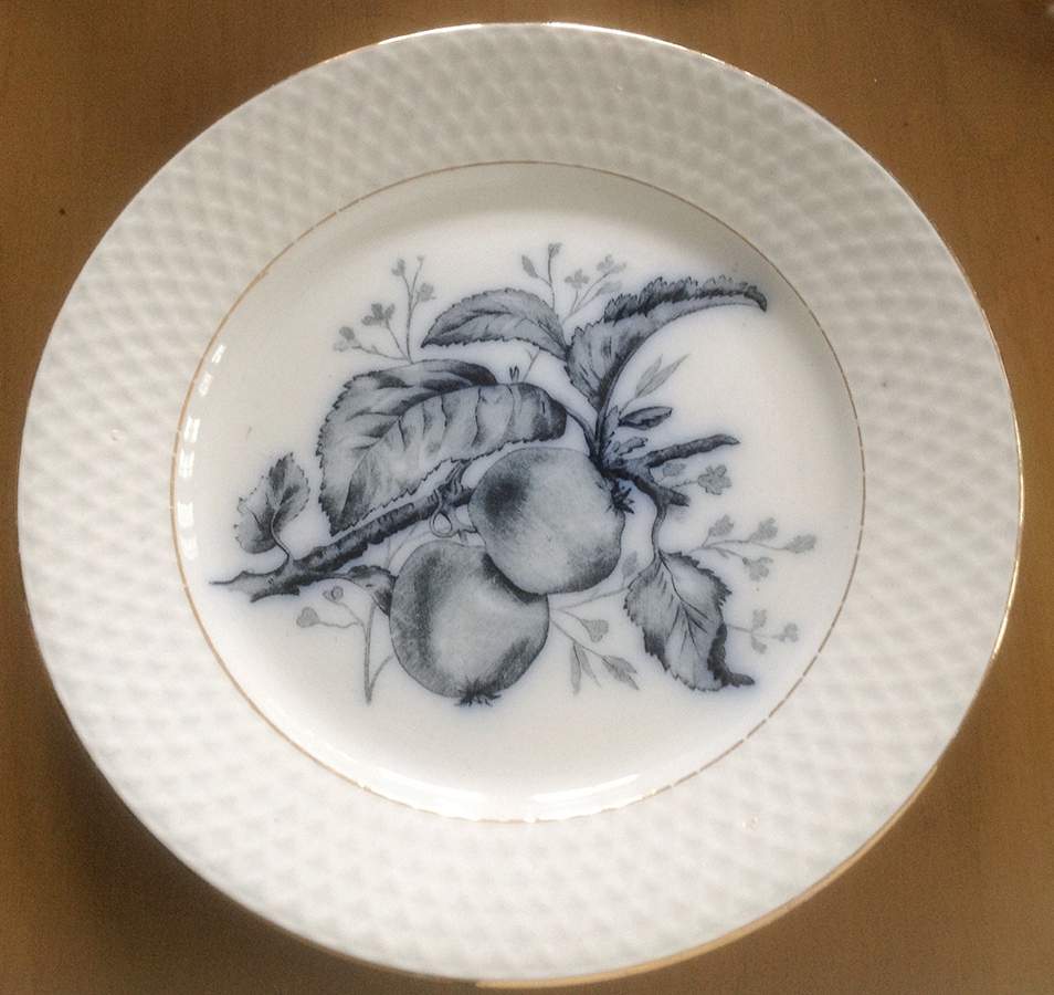 Fruit Salad Plate by Petrus Regout & Co-1