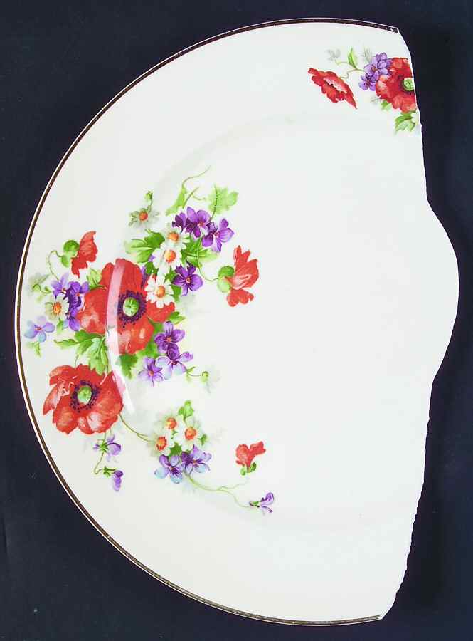 POP238 Dinner Plate by Pope Gosser-1