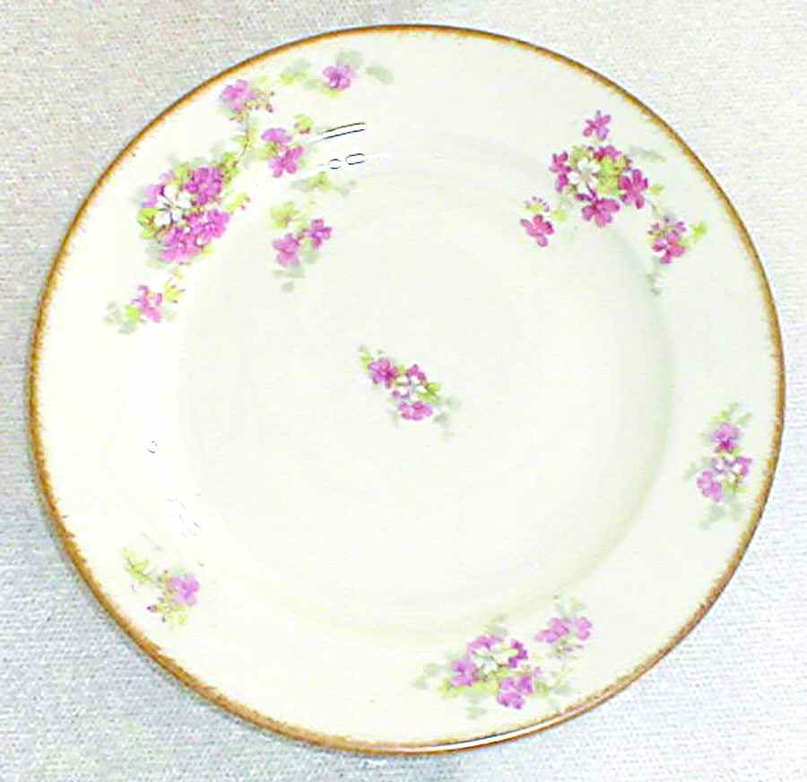 POY503 Dinner Plate by Jean Pouyat-1