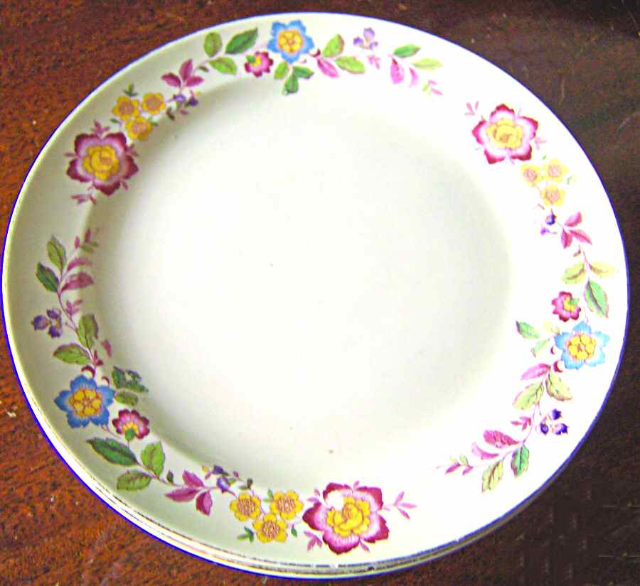 PCP225 Dinner Plate by Paden City-1