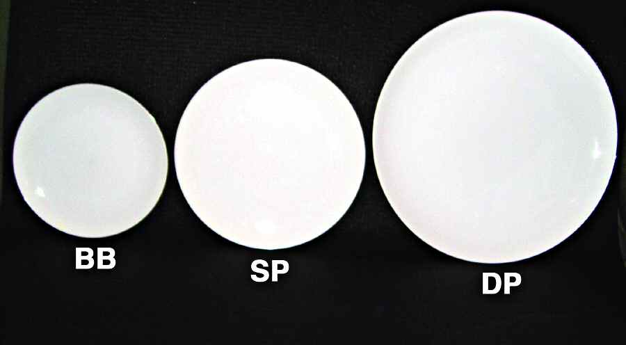 PER66 Dinner Plate by Pier 1-1