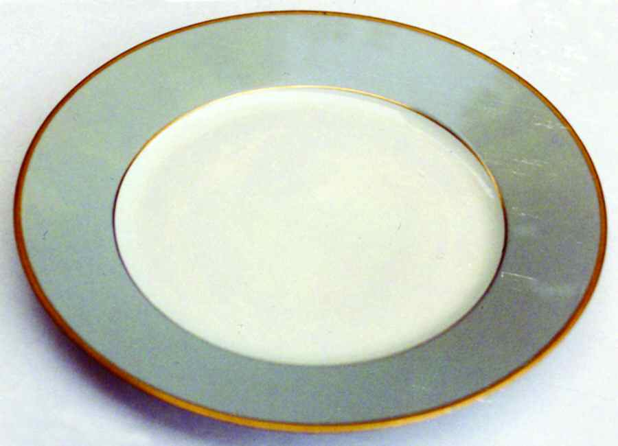 PLG13 Dinner Plate by Porcelaine Lafarge-1