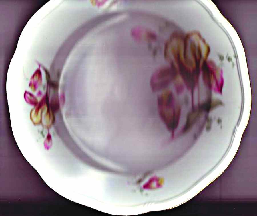 1488 Dinner Plate by Plankenhammer-1