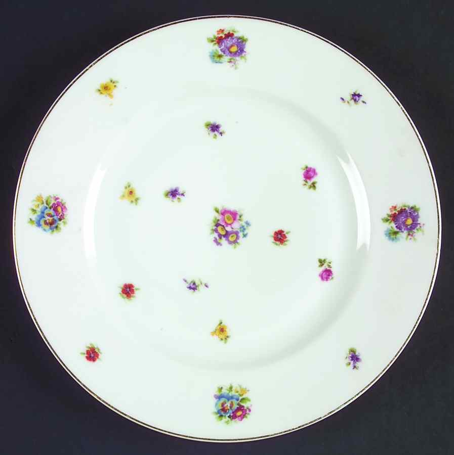 70397 Dinner Plate by Pirkenhammer-1