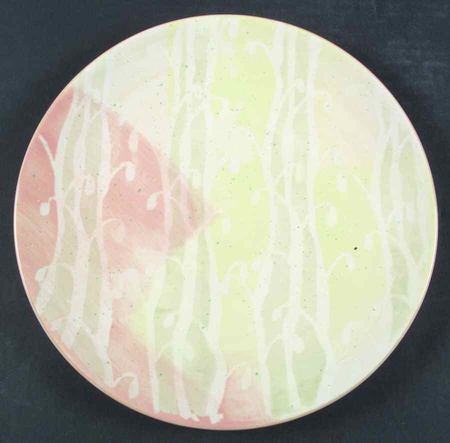 Blush Accents Dinner Plate by Pfaltzgraff-1