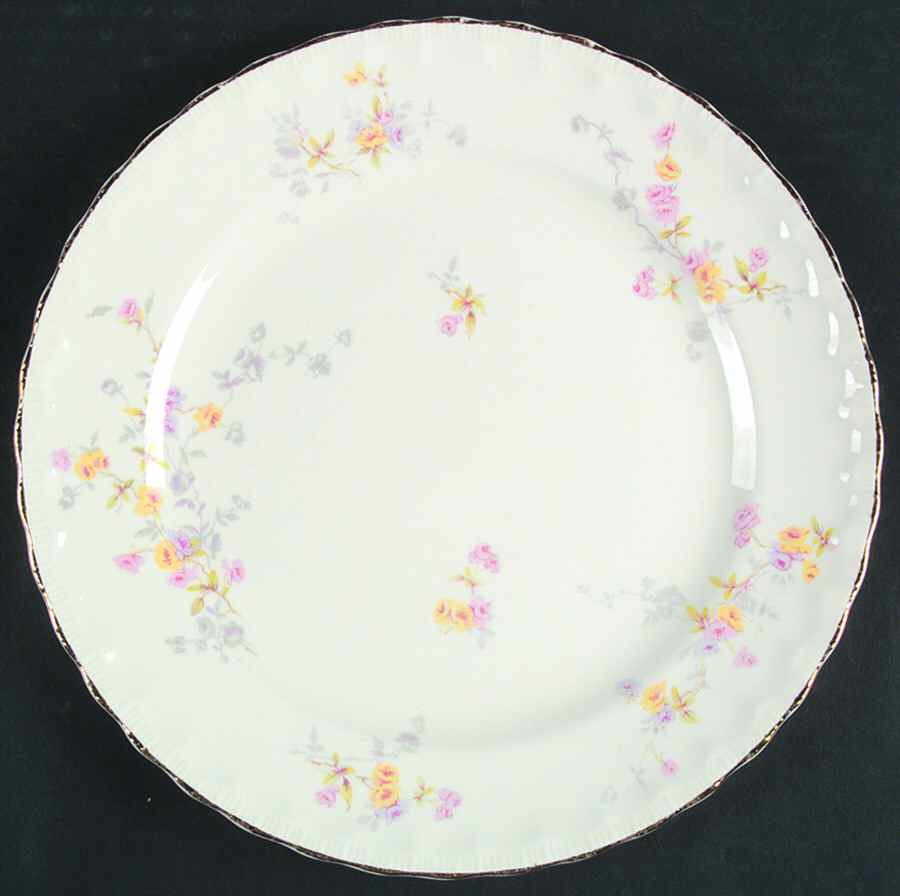POP242 Dinner Plate by Pope Gosser-1