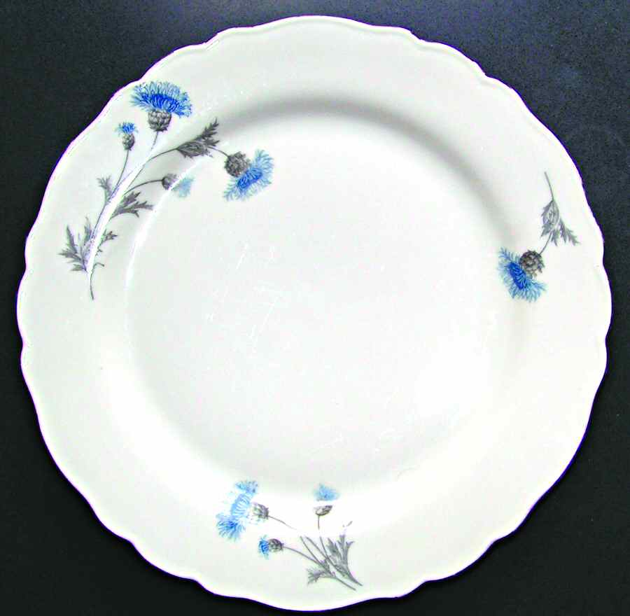 7576E Dinner Plate by Pfeiffer & Lowenstein-1