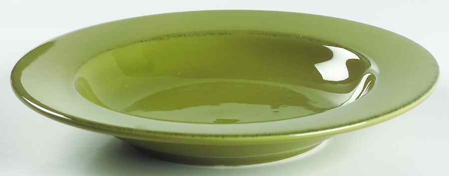 Toscana Palm 9" Soup/Pasta Bowl by Pier 1-1