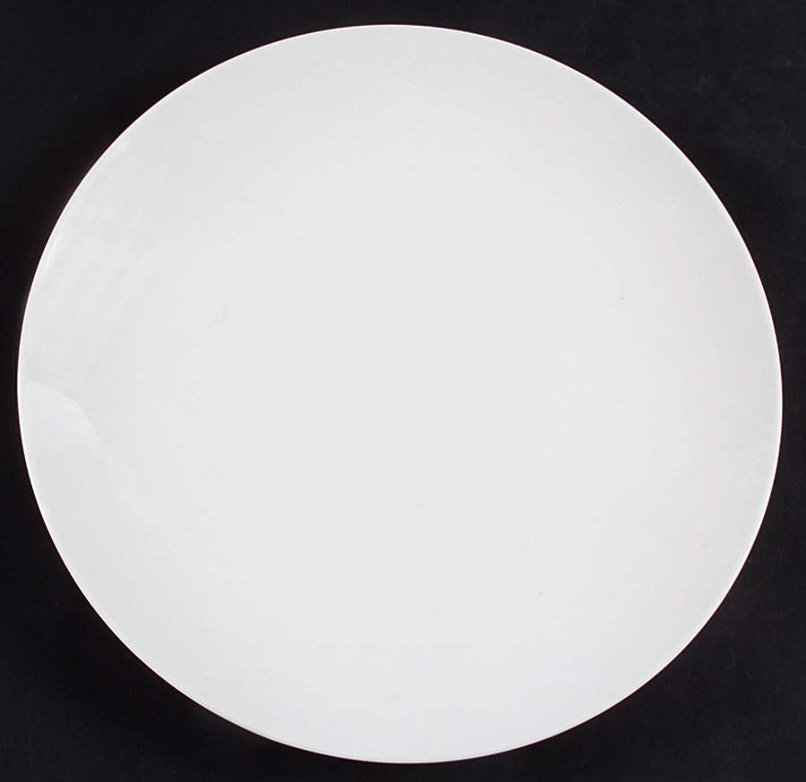 New Essentials Coupe Dinner Plate by Pier 1-1