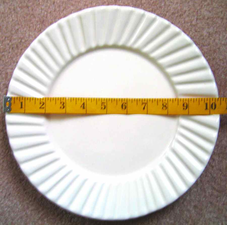 Dana White (Ribbed) Dinner Plate by Pottery Barn China-1