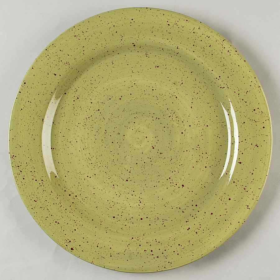 Tempe Green Dinner Plate by Pfaltzgraff-1
