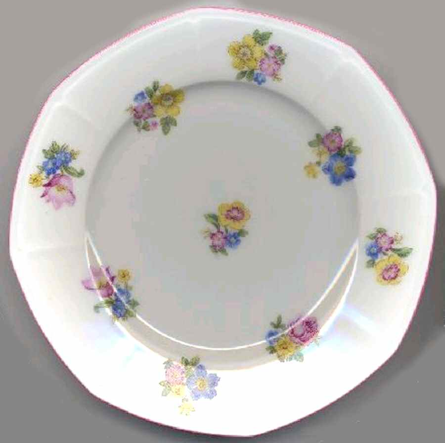PUN109 Dinner Plate by Porcelain Union-1
