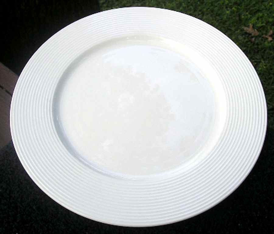 PER80 Dinner Plate by Pier 1-1