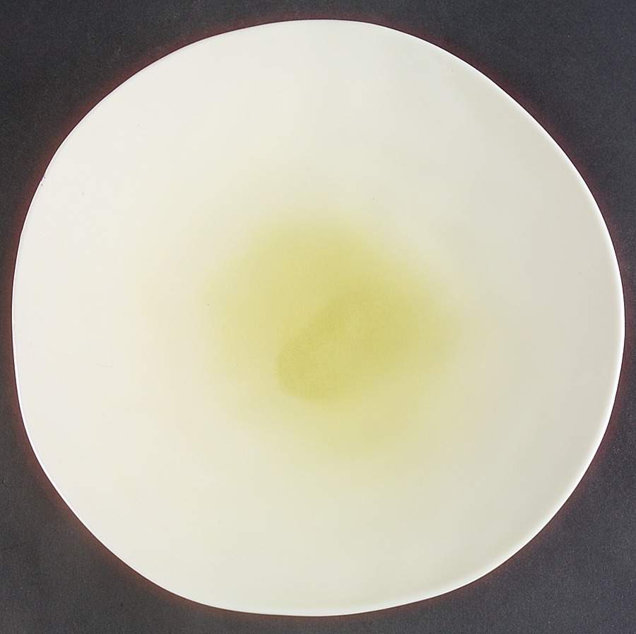 Cerchi Green Dinner Plate by Pier 1-1