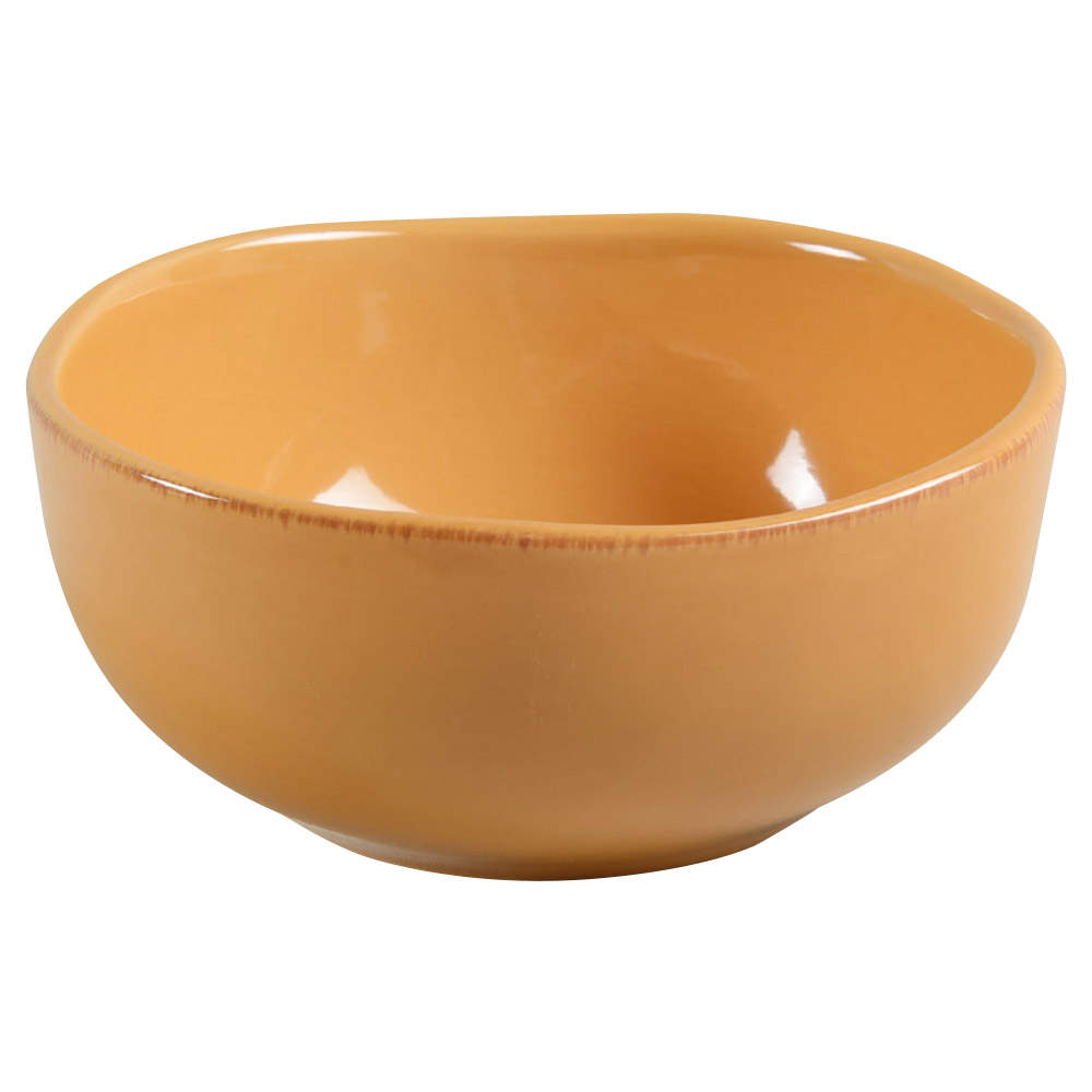 Elemental Honey Soup/Cereal Bowl by Pier 1-1