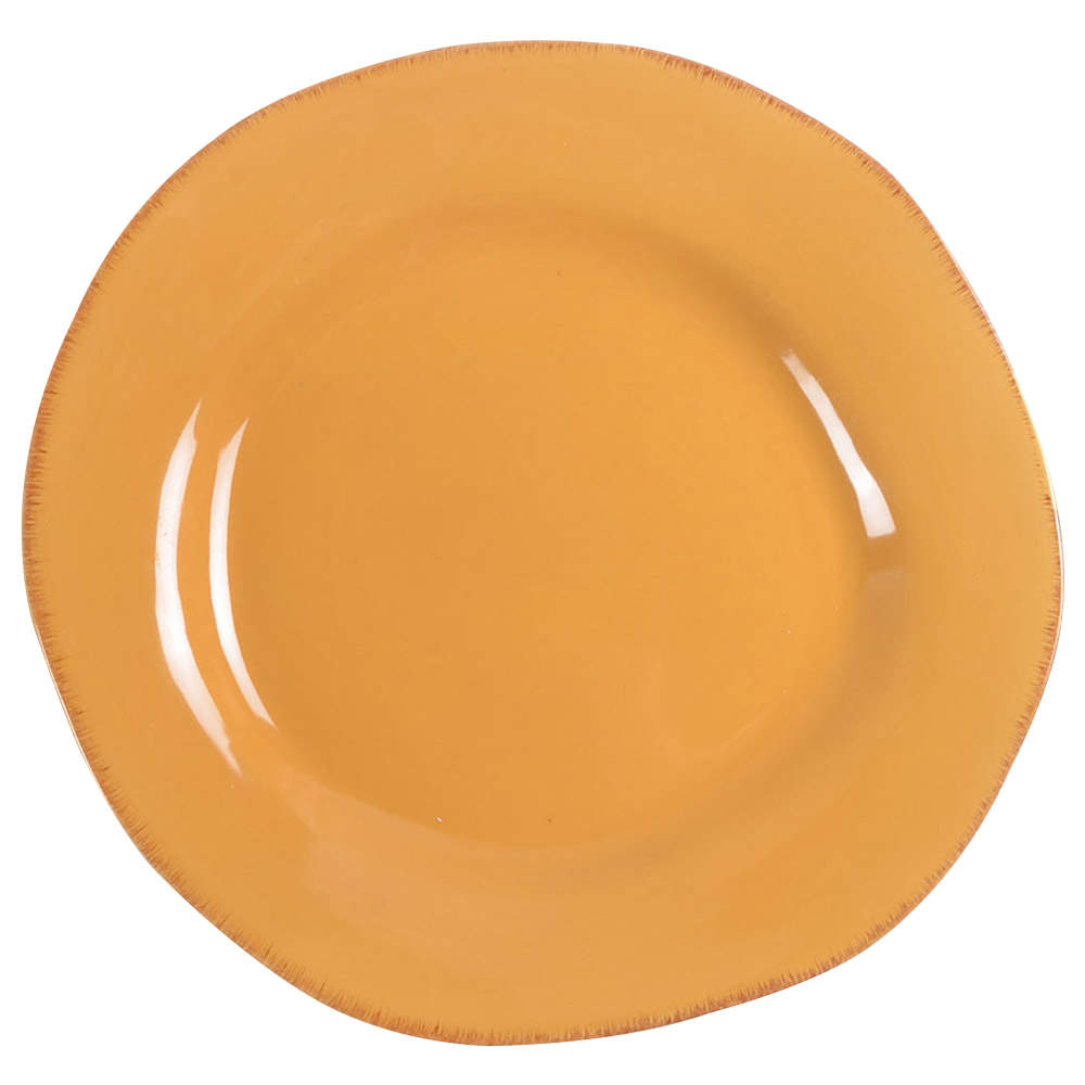 Elemental Honey Dinner Plate by Pier 1-1