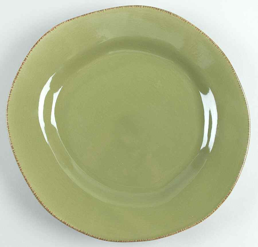 Elemental Moss Green Dinner Plate by Pier 1-1
