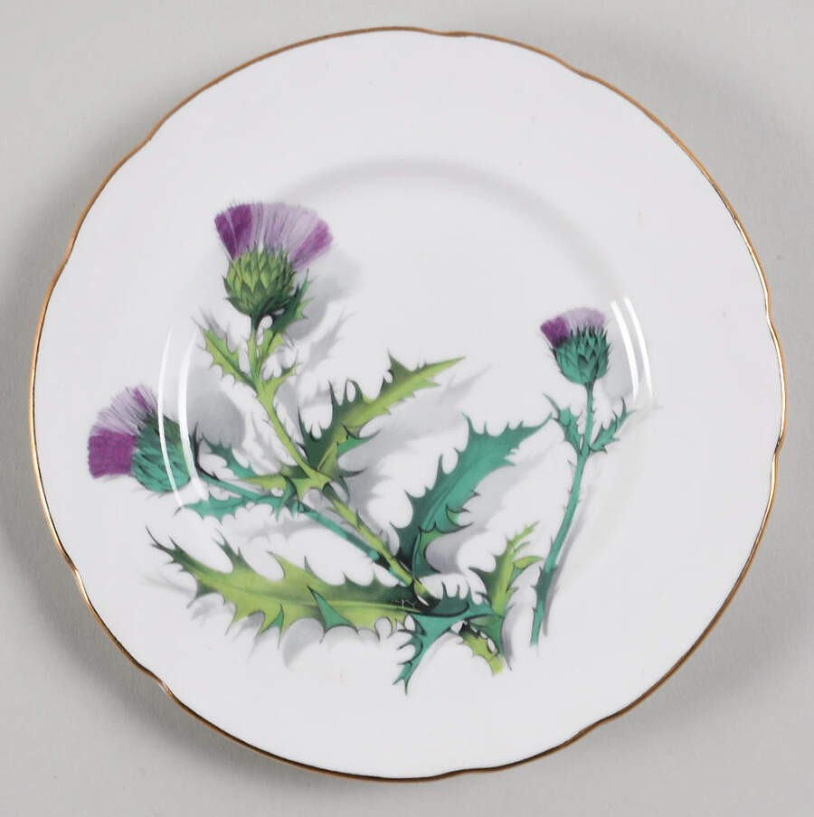 PAR141 Bread & Butter Plate by Paragon-1