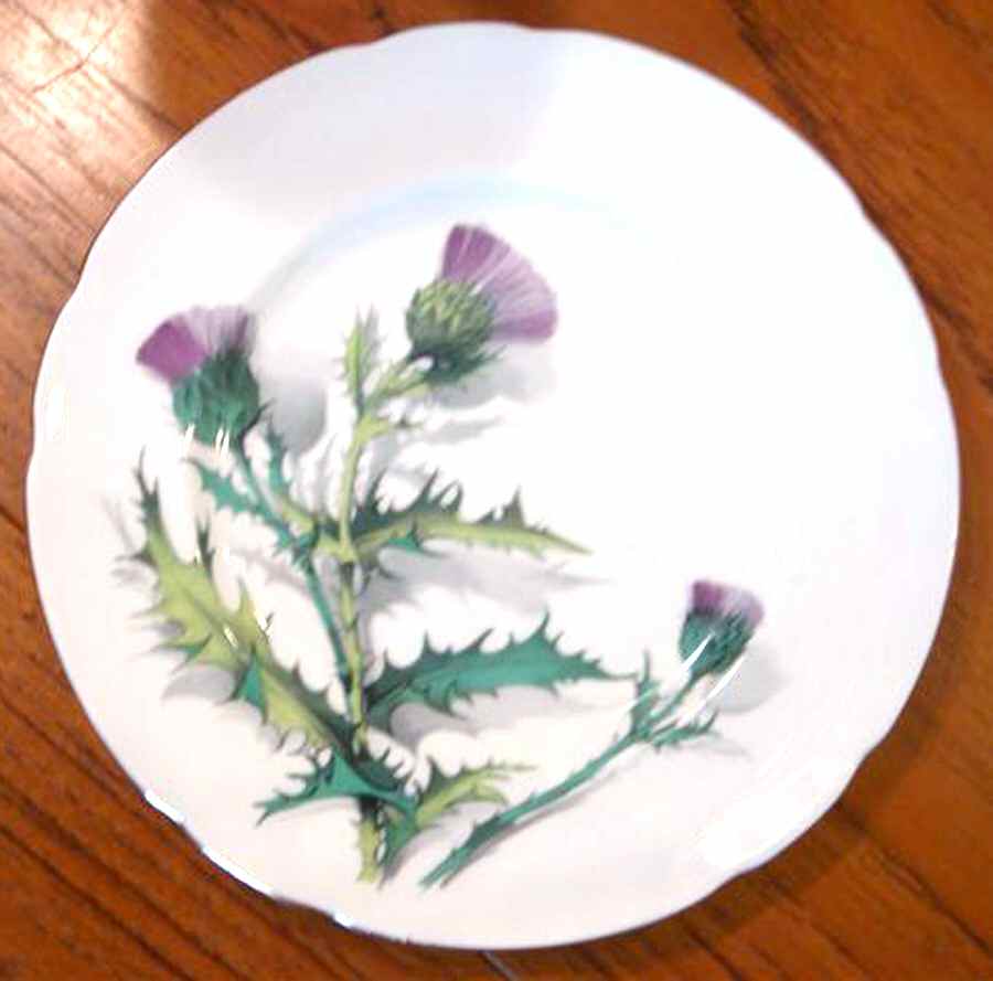 PAR141 Dinner Plate by Paragon-1