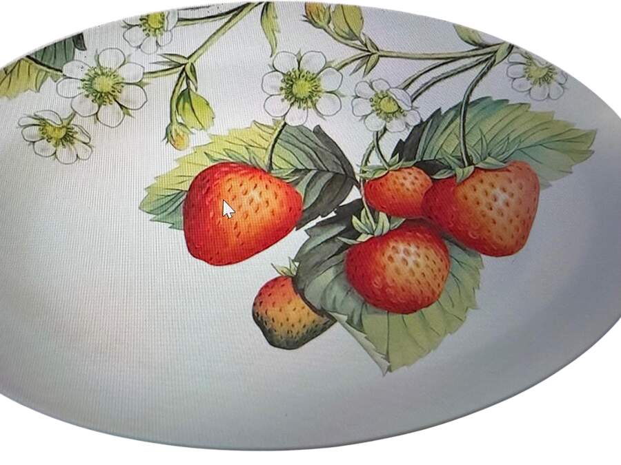 Eden Fruits 15" Oval Serving Platter by Portmeirion-1