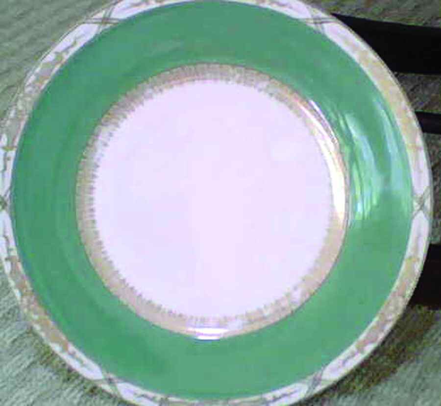 PBC11 Dinner Plate by Princess (Bavaria, Czech)-1