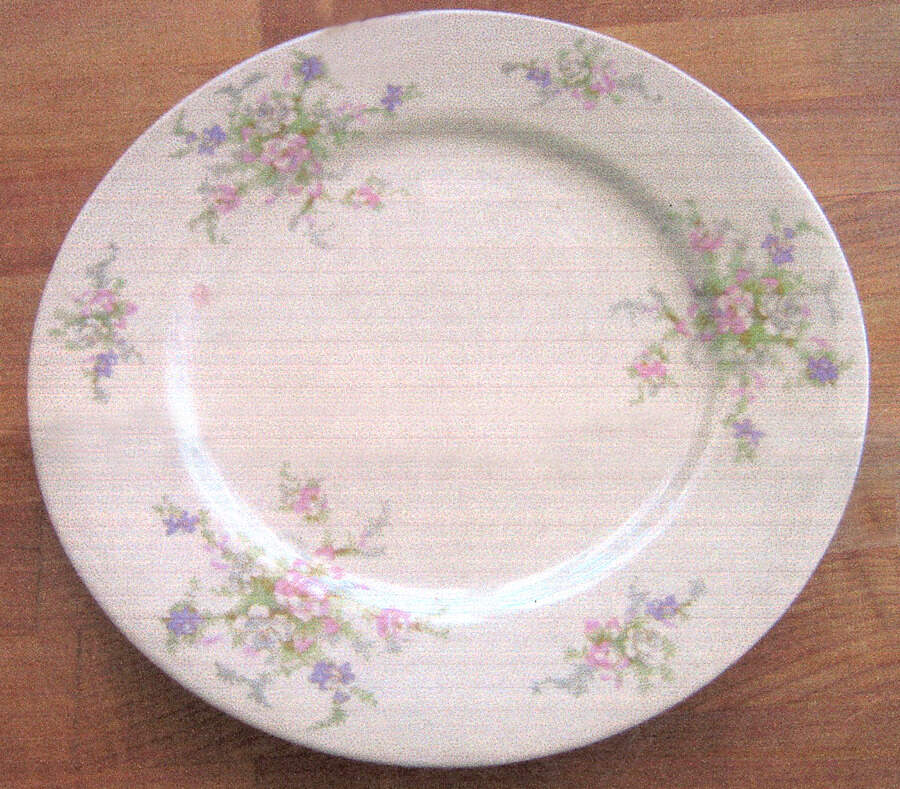 PRI20 Dinner Plate by Princess - Empcraft (USA)-1