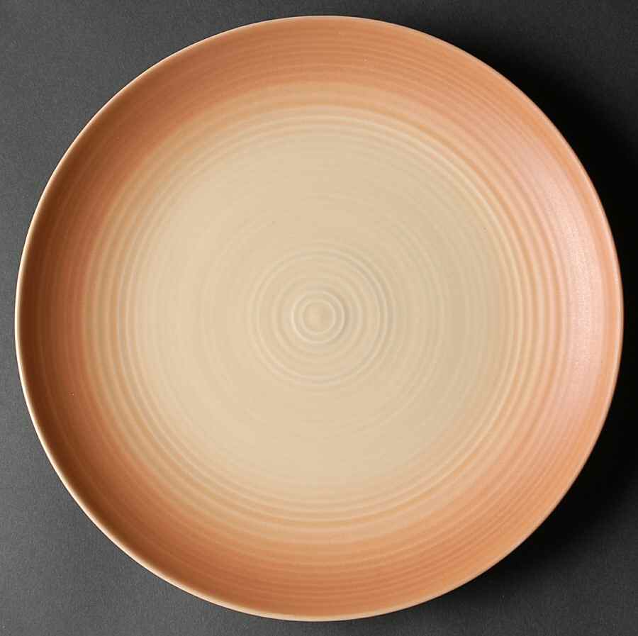 Sand Vista Dinner Plate by Pfaltzgraff-1