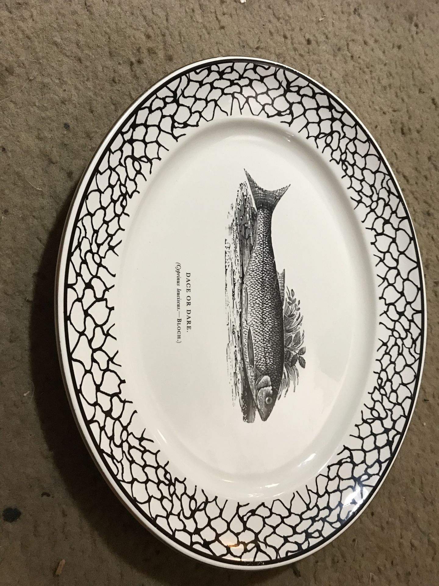 Bewicks Fishes 13" Oval Serving Platter by Prinknash-1