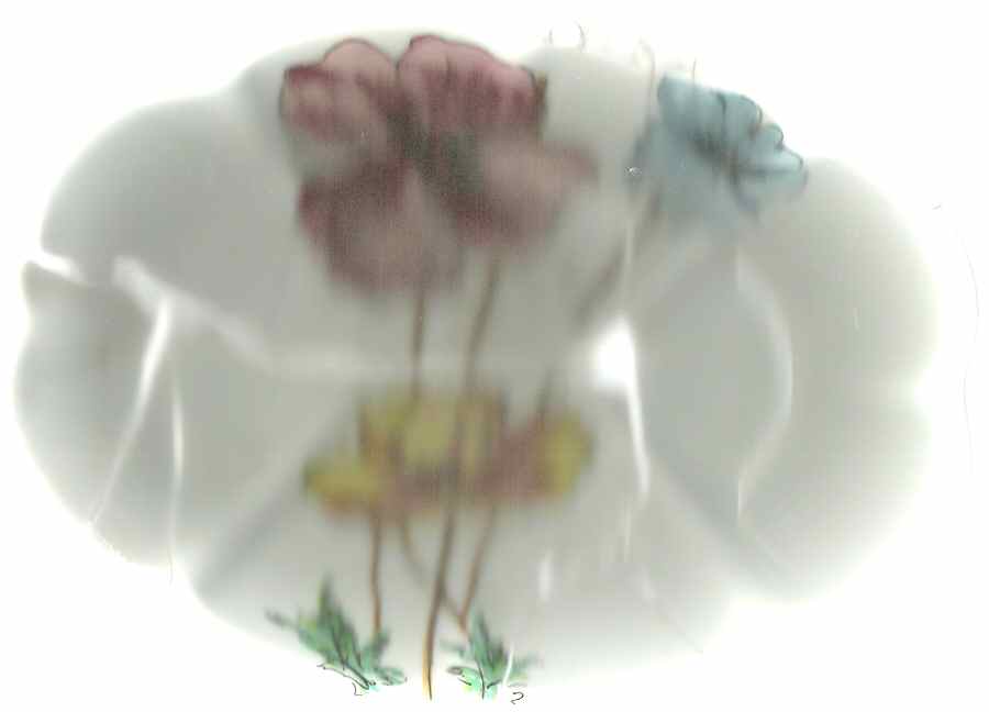 Anemone Soap Dish by Porcelaine De Paris-1