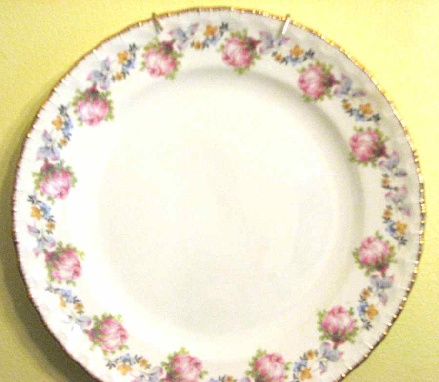 POP255 Dinner Plate by Pope Gosser-1