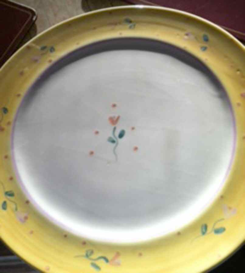 PTE17 Dinner Plate by Presenttense-1