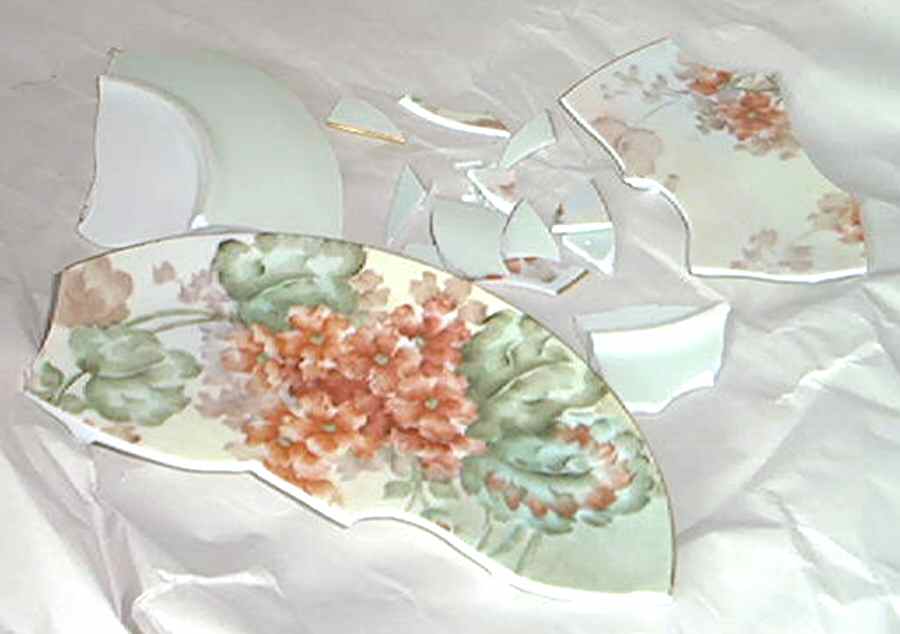 PIR147 Dinner Plate by Pirkenhammer-1