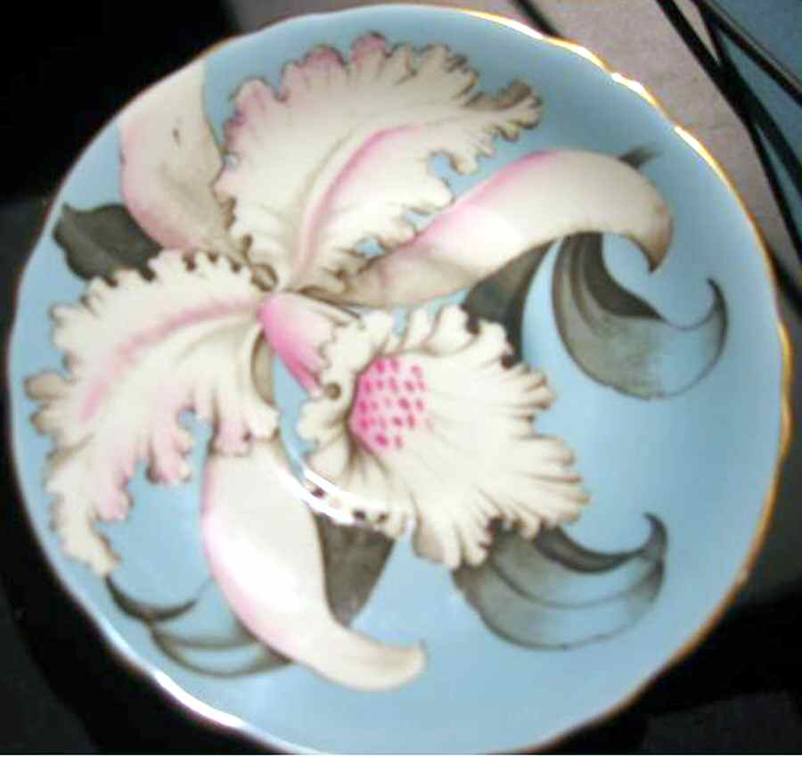 H1347 Saucer by Paragon-1