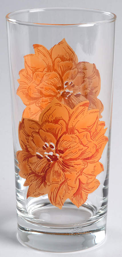 Graphic Garden Glassware Tall Tumbler by Pottery Barn China-1