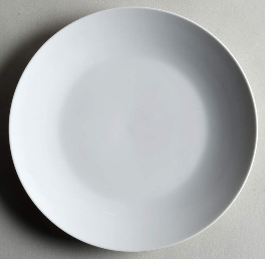 Caterer's Dinnerware Coupe Salad Plate by Pottery Barn China-1