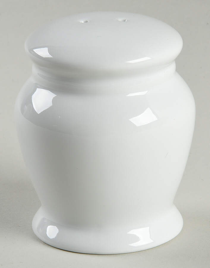 Caterer's Dinnerware Salt Shaker by Pottery Barn China-1