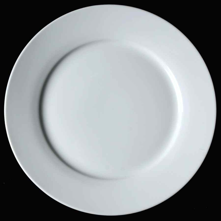 Caterer's Dinnerware Salad/Dessert Plate by Pottery Barn China-1