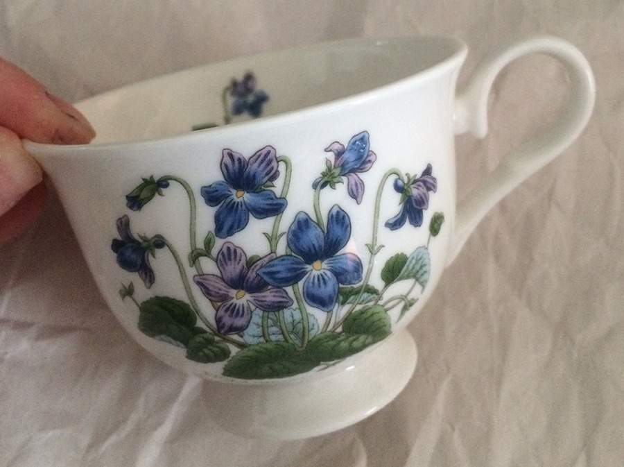 Botanic Garden Teacup & Saucer Collection Footed Cup by Portmeirion-1